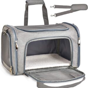 Pet Travel Carrier